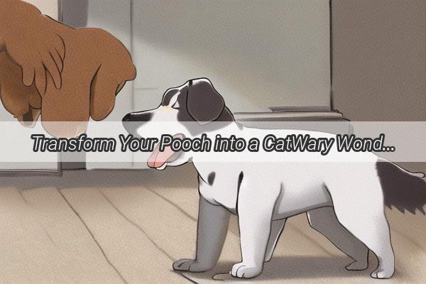 Transform Your Pooch into a CatWary Wonder Expert Tips to Teach Your Dog to Respect Felines